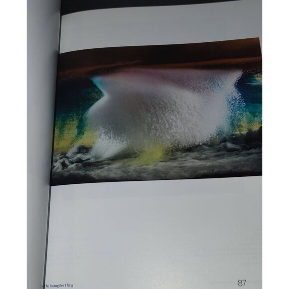 The Beyond Georgia O’keefe & Contemporary Art Hardcover Book 2018 - Picture 11 of 12